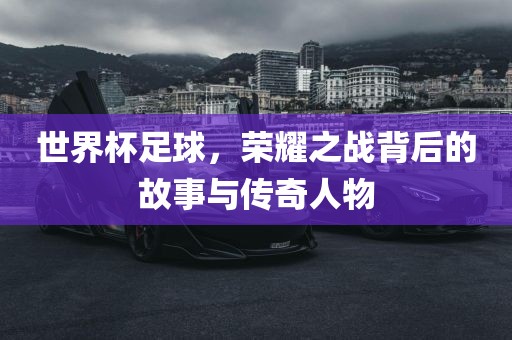 世界杯足球 第7页