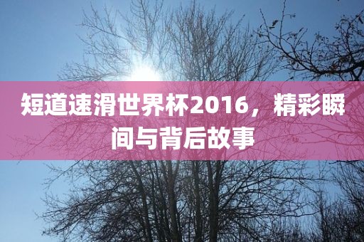短道速滑世界杯2016，精彩瞬间与背后故事金炬实业股份有限公司