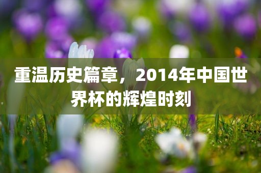 重温历史篇章，2014年中国世界杯的辉煌时刻金炬实业股份有限公司