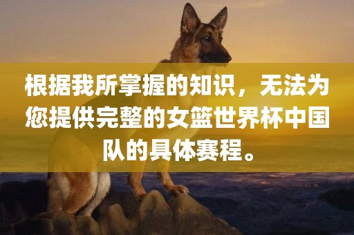 根据我所掌握的知识，无法为您提供完整的女篮世界杯中国队的具体赛程。