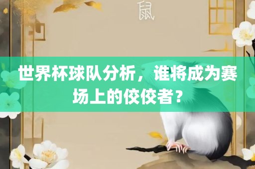 世界杯球队分析，谁将成为赛场上的佼佼者？