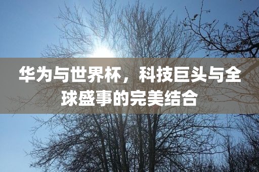 华为与世界杯，科技巨头与全球盛事的完美结合