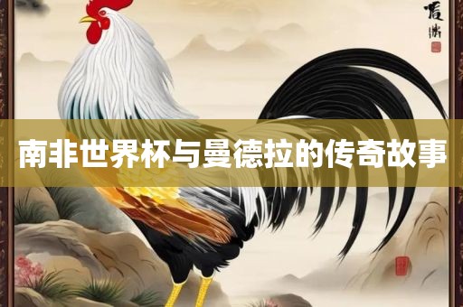 南非世界杯与曼德拉的传奇故事金炬实业股份有限公司