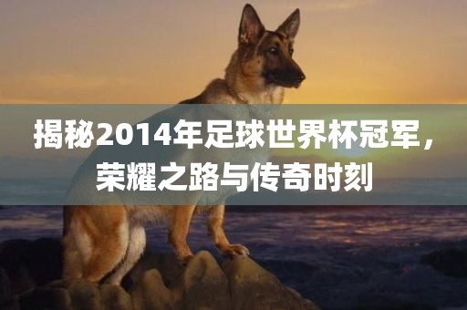 揭秘2014年足球世界杯冠军，荣耀之路与传奇时刻