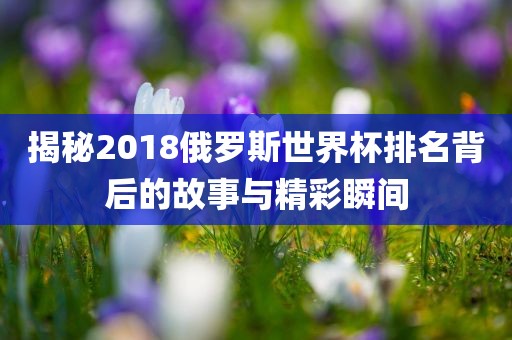 揭秘2018俄罗斯世界杯排名背后的故事与精彩瞬间金炬实业股份有限公司