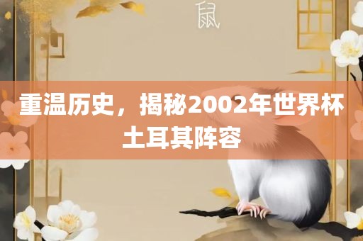 重温历史，揭秘2002年世界杯土耳其阵容