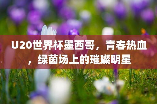 U20世界杯墨西哥，青春热血，绿茵场上的璀璨明星金炬实业股份有限公司