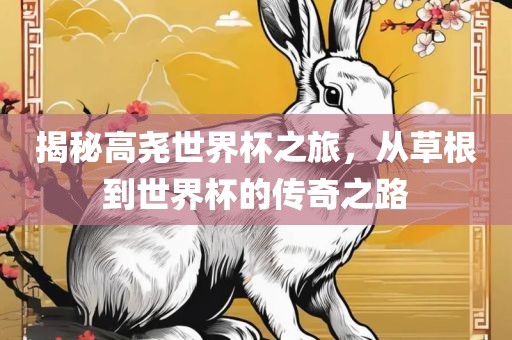 揭秘高尧世界杯之旅，从草根到世界杯的传奇之路