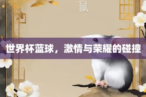 世界杯蓝球，激情与荣耀的碰撞