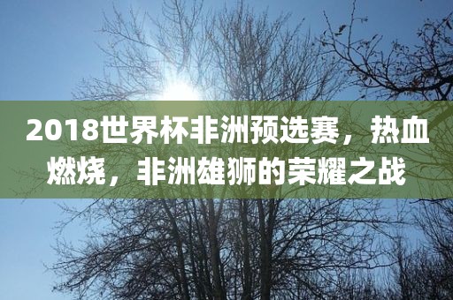 2018世界杯非洲预选赛，热血燃烧，非洲雄狮的荣耀之战