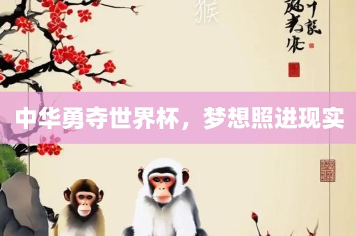 中华勇夺世界杯，梦想照进现实