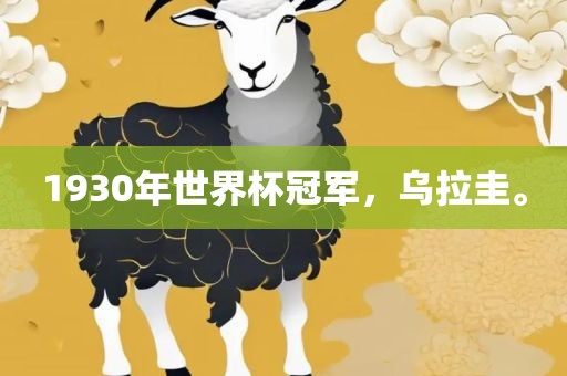 1930年世界杯冠军，乌拉圭。
