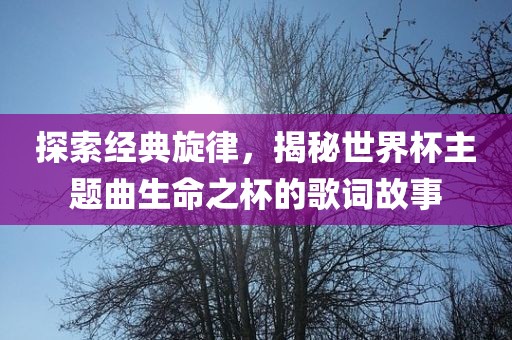 探索经典旋律，揭秘世界杯主题曲生命之杯的歌词故事金炬实业股份有限公司