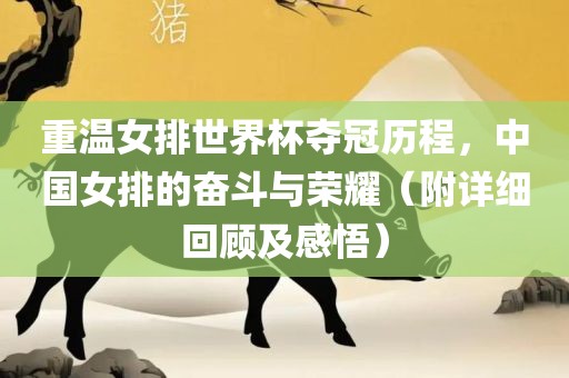 重温女排世界杯夺冠历程，中国女排的奋斗与荣耀（附详细回顾及感悟）