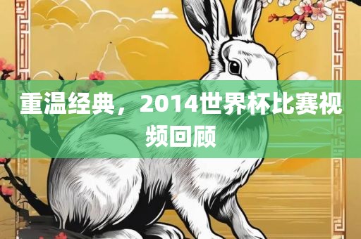 重温经典，2014世界杯比赛视频回顾金炬实业股份有限公司