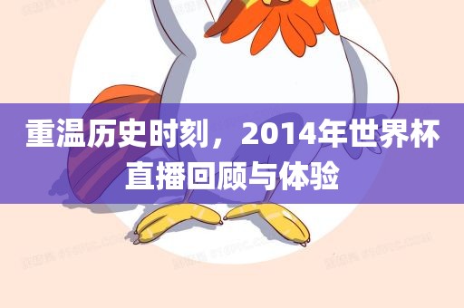 重温历史时刻，2014年世界杯直播回顾与体验金炬实业股份有限公司