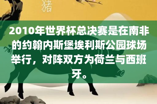 2010年世界杯总决赛是在南非的约翰内斯堡埃利斯公园球场举行，对阵双方为荷兰与西班牙。