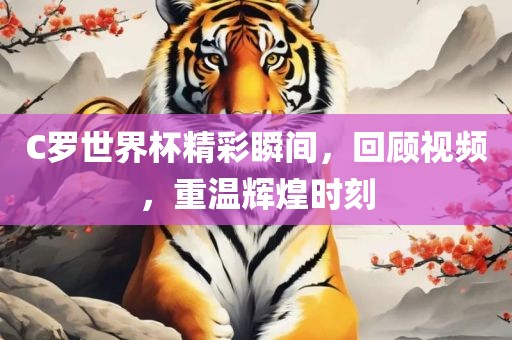 C罗世界杯精彩瞬间，回顾视频，重温辉煌时刻