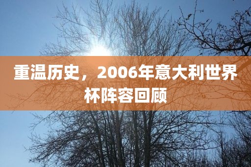 重温历史，2006年意大利世界杯阵容回顾金炬实业股份有限公司