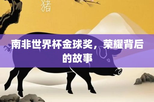 南非世界杯金球奖，荣耀背后的故事金炬实业股份有限公司