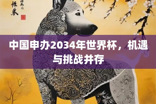 中国申办2034年世界杯，机遇与挑战并存