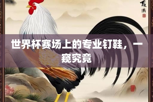 世金炬实业股份有限公司界杯赛场上的专业钉鞋，一窥究竟