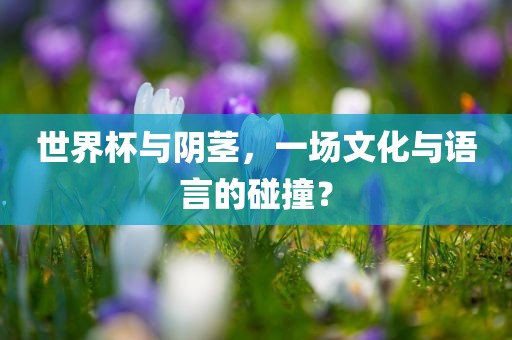 世界杯与阴茎，一场文化与语言的碰撞？金炬实业股份有限公司