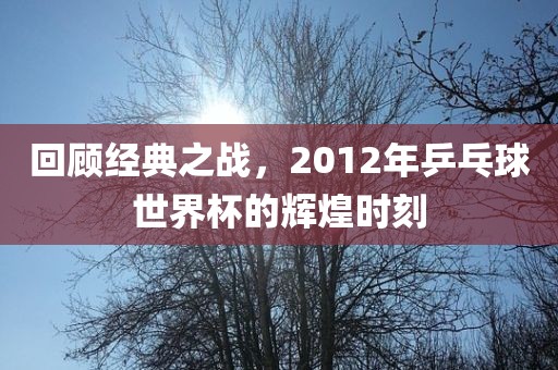 回顾经典之战，2012年乒乓球世界杯的辉煌时刻