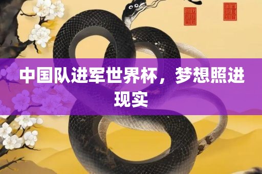 中国队进军世界杯，梦想照进现实