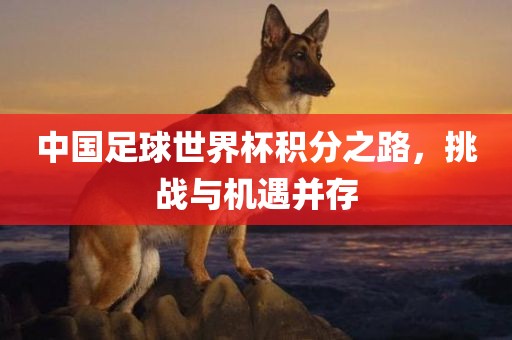 中国足球世界杯积分之路，挑战与机遇并存金炬实业股份有限公司