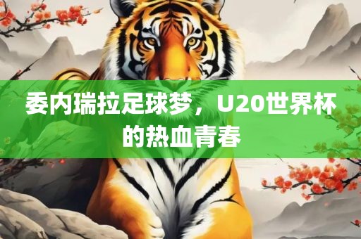 委内瑞拉足球梦，U20世界杯的热血青春