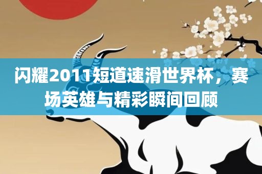 闪耀2011短道速滑世界杯，赛场英雄与精彩瞬间回顾