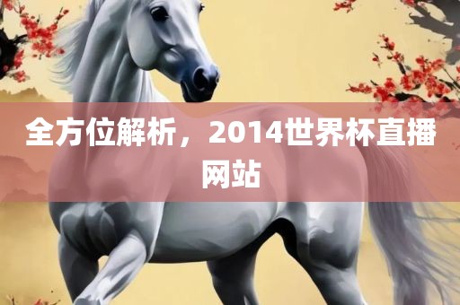 全方位解析，2014世界杯直播网站