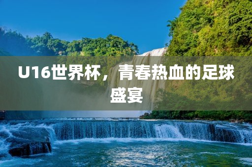 U16世界杯，青春热血的足球盛宴