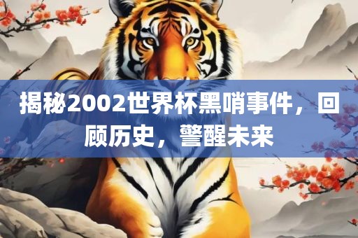 揭秘2002世界杯黑哨事件，回顾历史，警醒未来