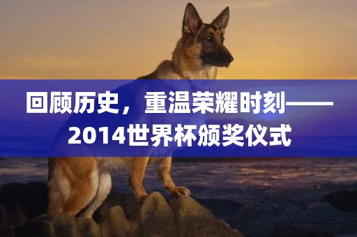 回顾历史，重温荣耀时刻——2014世界杯颁奖仪式