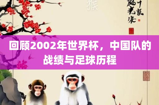 回顾2002年世界杯，中国队的战绩与足球历程