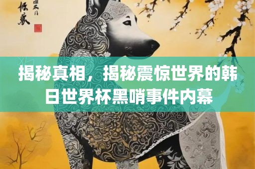 揭秘真相，揭秘震惊世界的韩日世界杯黑哨事件内幕