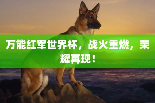 万能红军世界杯，战火重燃，荣耀再现！金炬实业股份有限公司