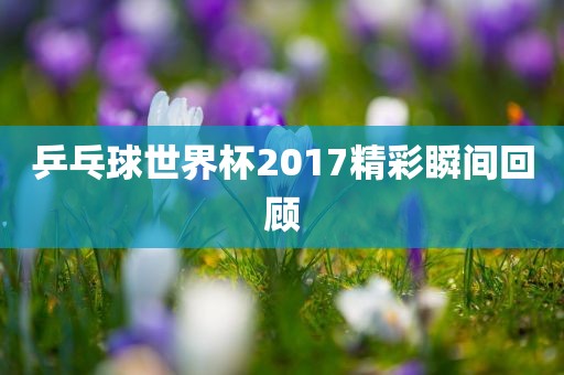 乒乓球世界杯2017精彩瞬间回顾金炬实业股份有限公司
