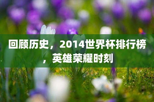 回顾历史，2014世界杯排行榜，英雄荣耀时刻