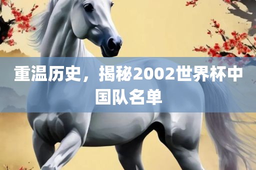 重温历史，揭秘2002世界杯中国队名单