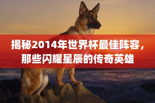 揭秘2014年世界杯最佳阵容，那些闪耀星辰的传奇英雄