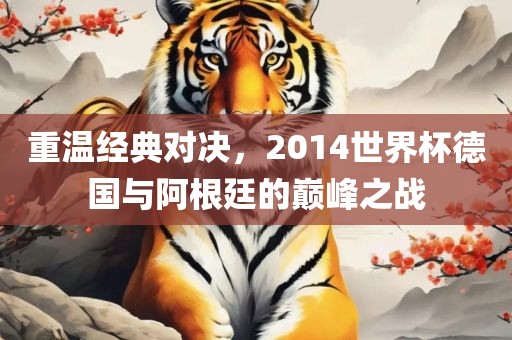 重温经典对决，2014世界杯德国与阿根廷的巅峰之战