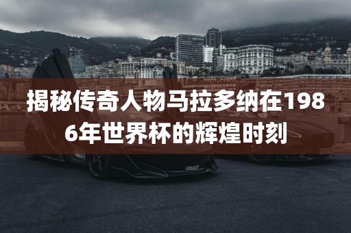 马拉多纳 第2页