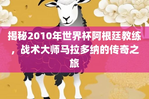 揭秘2010年世界杯阿根廷教练，战术大师马拉多纳的传奇之旅金炬实业股份有限公司