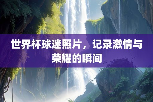 世界杯球迷照片，记录激情与荣耀的瞬间