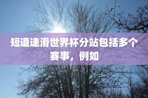 短道速滑世界杯分站包括多个赛事，例如