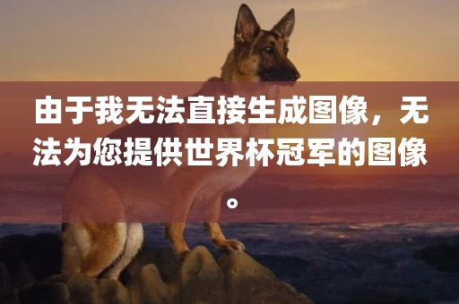 由于我无法直接生成图像，无法为您提供世界杯冠军的图像。金炬实业股份有限公司