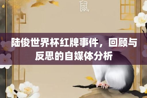 陆俊世界杯红牌事件，回顾与反思的自媒体分金炬实业股份有限公司析